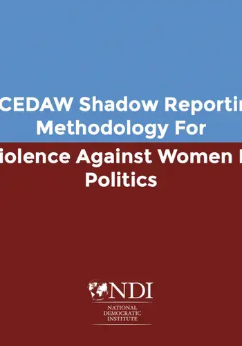 A CEDAW Shadow Reporting Methodology for VAW-P