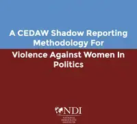 A CEDAW Shadow Reporting Methodology for VAW-P