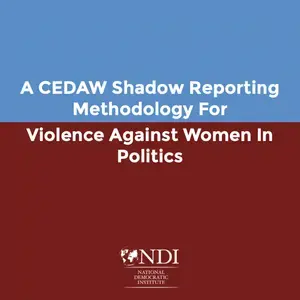 A CEDAW Shadow Reporting Methodology for VAW-P