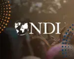 NDI logo