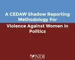 A CEDAW Shadow Reporting Methodology for VAW-P