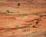 Sahel Landscape