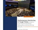 Parliamentary Monitoring in Tough Times: Lessons Learned for Building Networks and Achieving Results