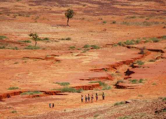 Sahel Landscape
