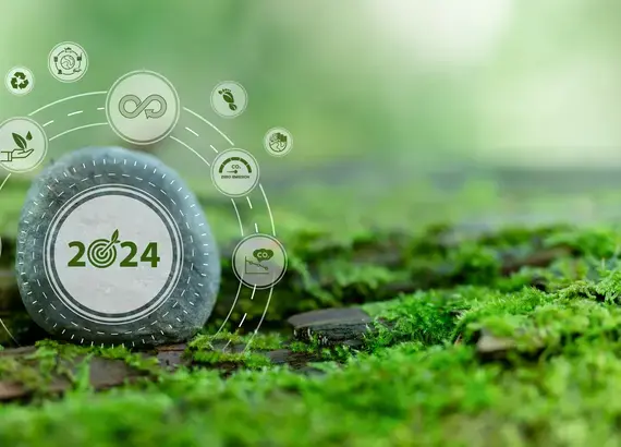 Living our values: Launching the Environmental Sustainability Initiative at NDI